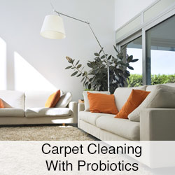 Carpet-Cleaning-With-Probiotics