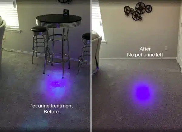 Count on Our Carpet Cleaning Method