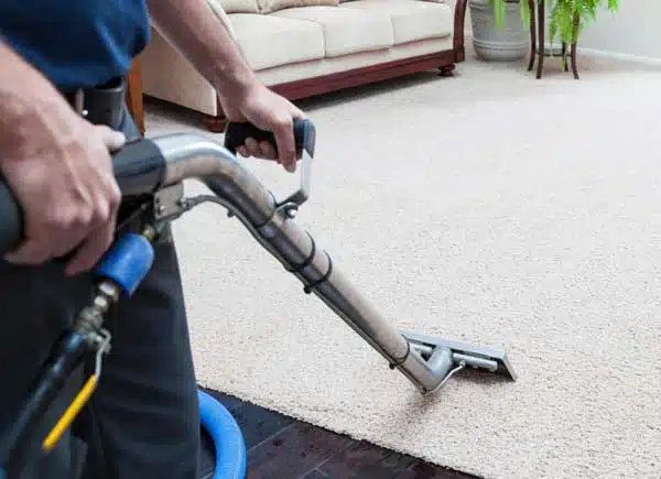 Professional Carpet Cleaning