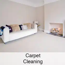 Carpet Cleaning